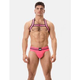 Colin con l'imbracatura