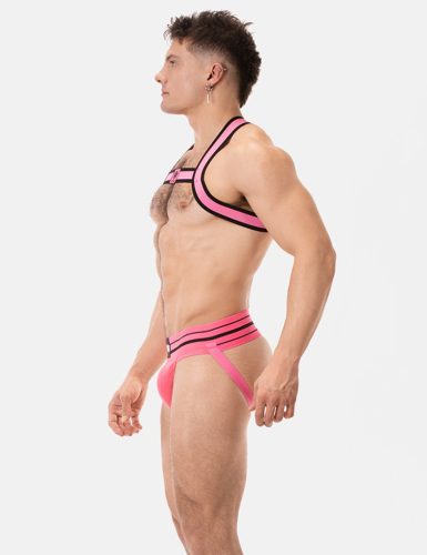 Colin con l'imbracatura