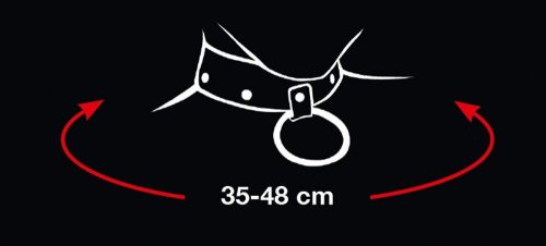 Collare e guinzaglio per gatti difettosi