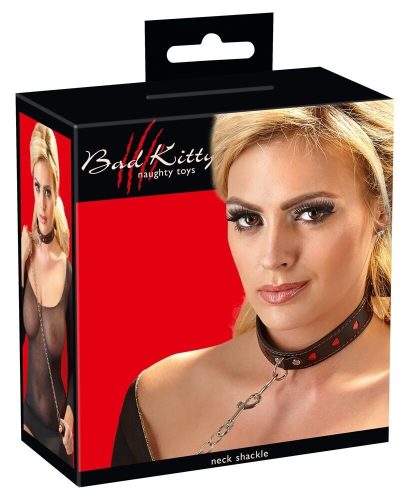 Collare e guinzaglio per gatti difettosi