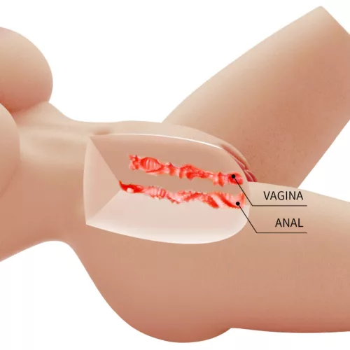 CRAZY BULL - LILY REALISTA NŐI TÖRZS HÜVELJ ÉS ANÁLIS 4 KG