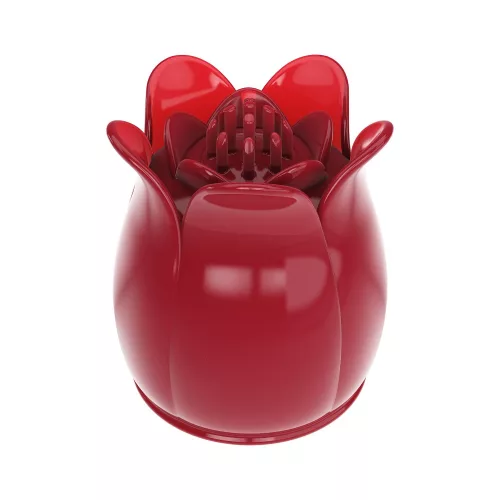 Giardino segreto dell'amore bello ROSSO