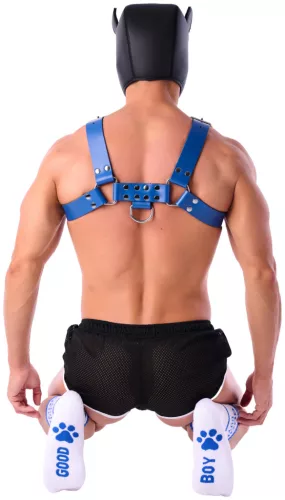 Good Boy Socks – prémium fehér-kék zoknik