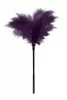 GP Small Feather Tickler Viola