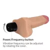 7" Realistica Vibrator_B0O50_3