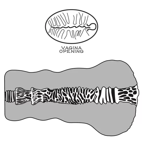 Masturbatore di Torta Aliena #2 Black_B15O50_3