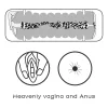 Pelle vergine brushout Doppia Side Stroker Vagina e Ano