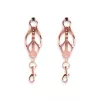 Rilegato - Pinze per capezzoli - C3 - Oro rosa