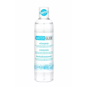RAFFREDDAMENTO WATERGLIDE 300ML